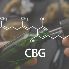 آیا CBG جایگزین بعدی CBD است؟ ظهور کانابینوئید جدید در دنیای سلامت و تندرستی