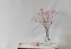 article-1785262500099