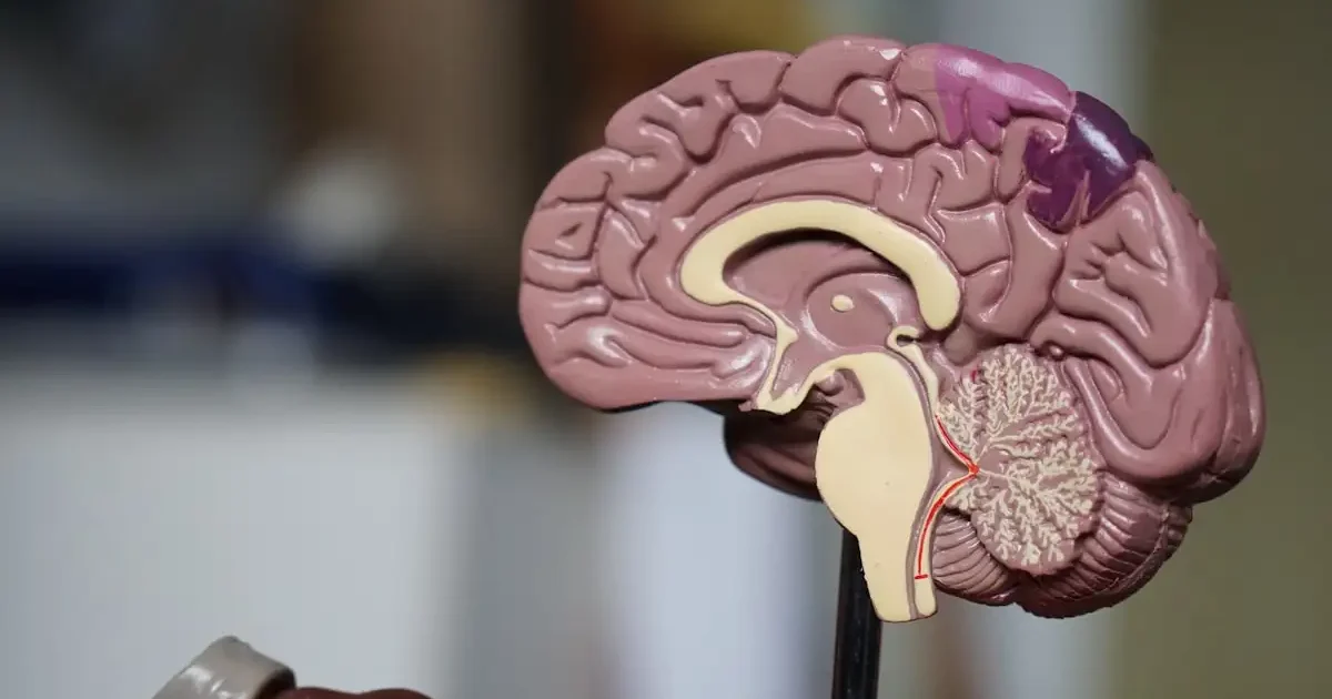 ai-psychology